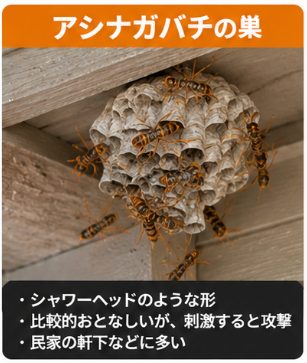 アシナガバチの巣(実際の施工写真)