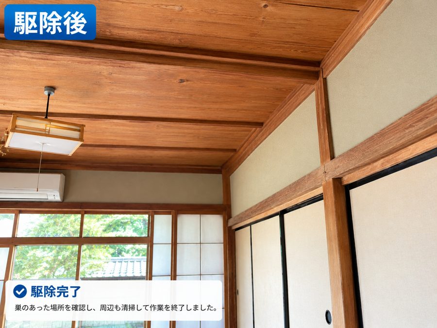 駆除後:巣を撤去し清掃した状態