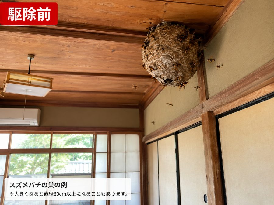 駆除前:軒下に巣がある状態