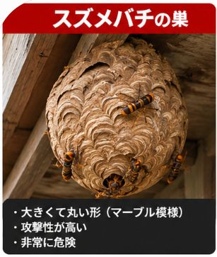 スズメバチの巣(実際の施工写真)